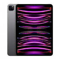 Планшет Apple iPad Pro 11 M2 (2022) 256Gb Wi-Fi (Серый космос) (Уценка)